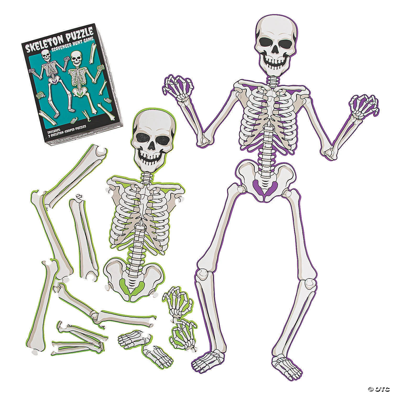 Skeleton Puzzle Scavenger Hunt Game