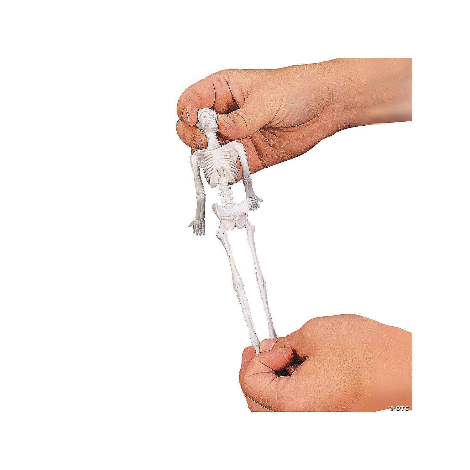 Stretchy Skeletons - 12 Pc. - Image 2